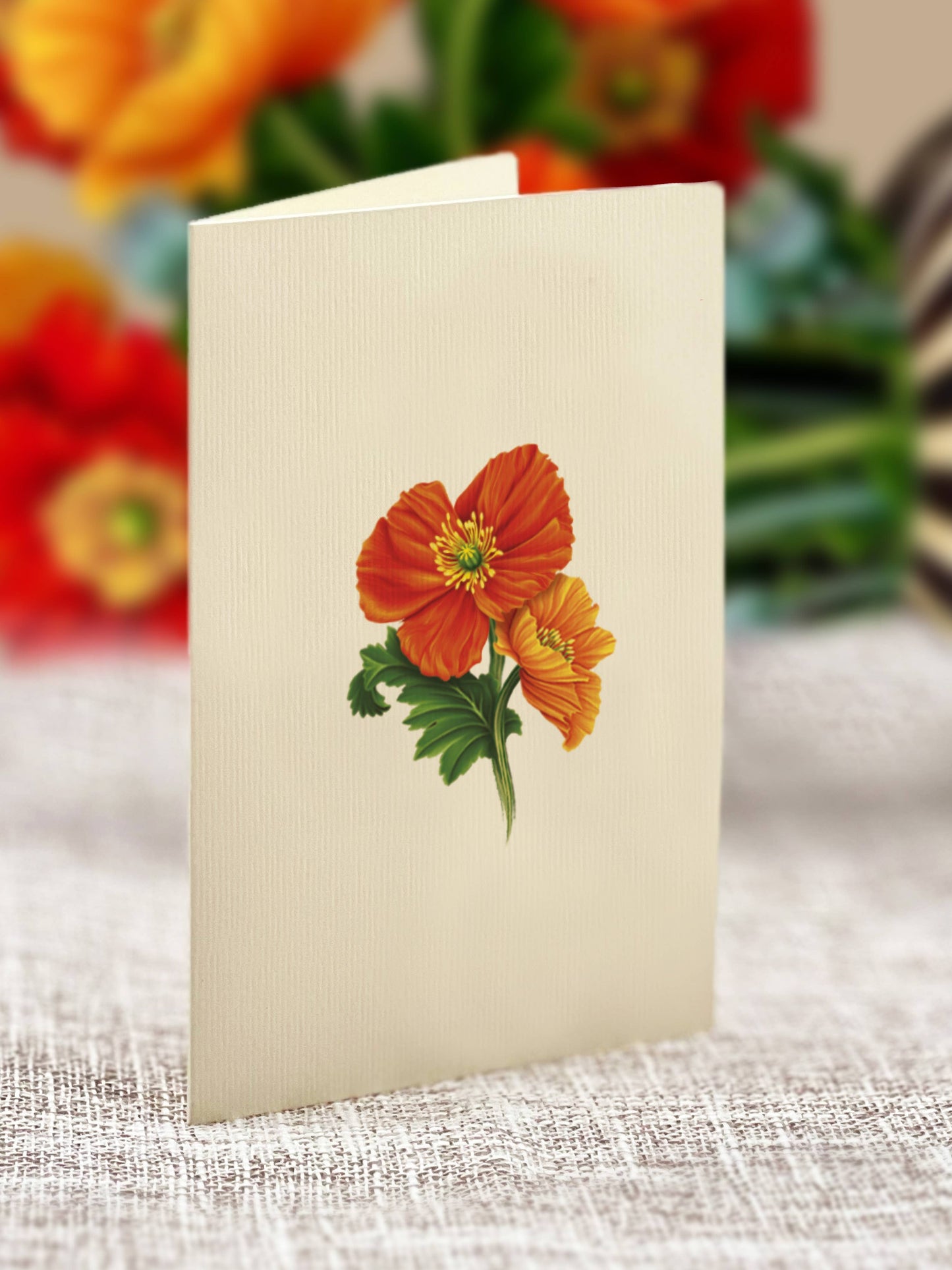 FreshCut Paper LLC - Mini French Poppies (10 Pop-up Greeting Cards)