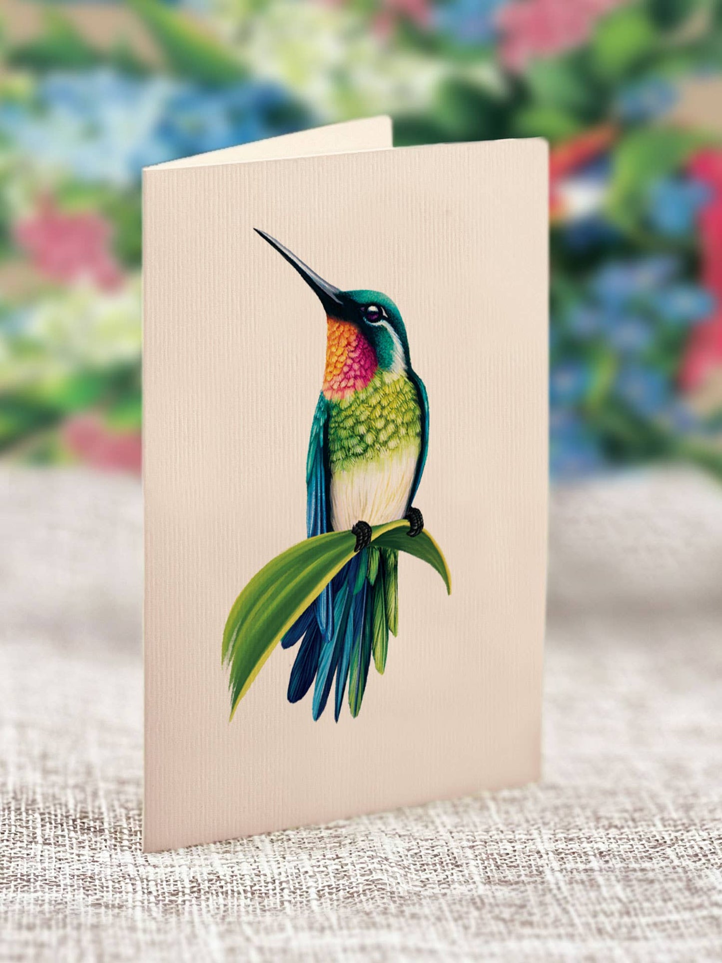 FreshCut Paper LLC - Hummingbird Oasis (8 Pop-up Greeting Cards)