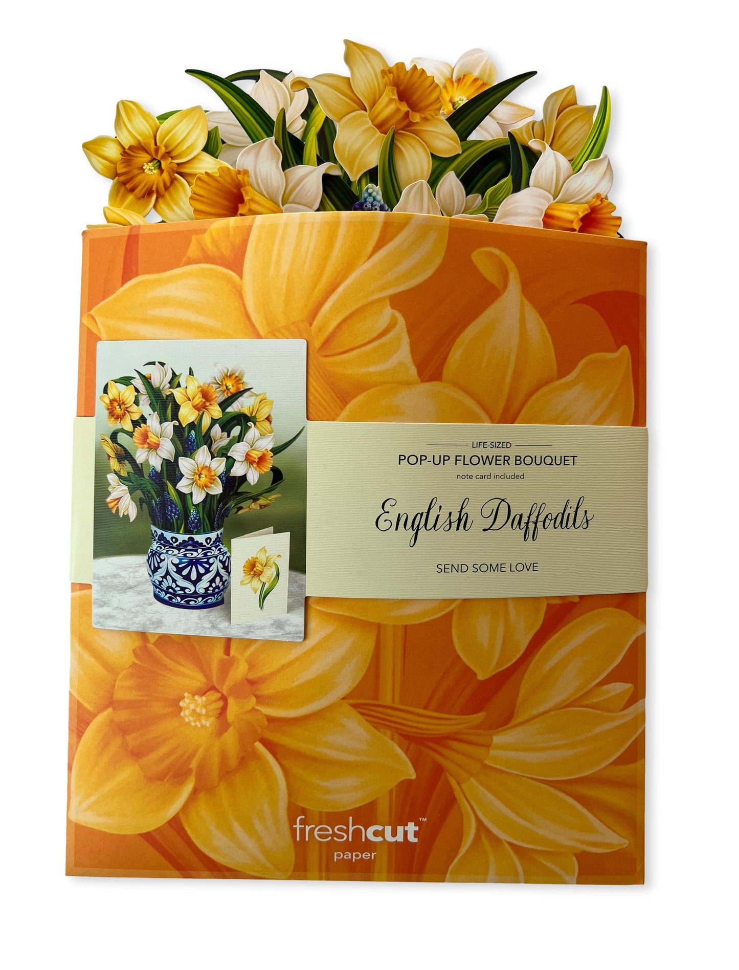 FreshCut Paper LLC - English Daffodils (8 Pop-up Greeting Cards)