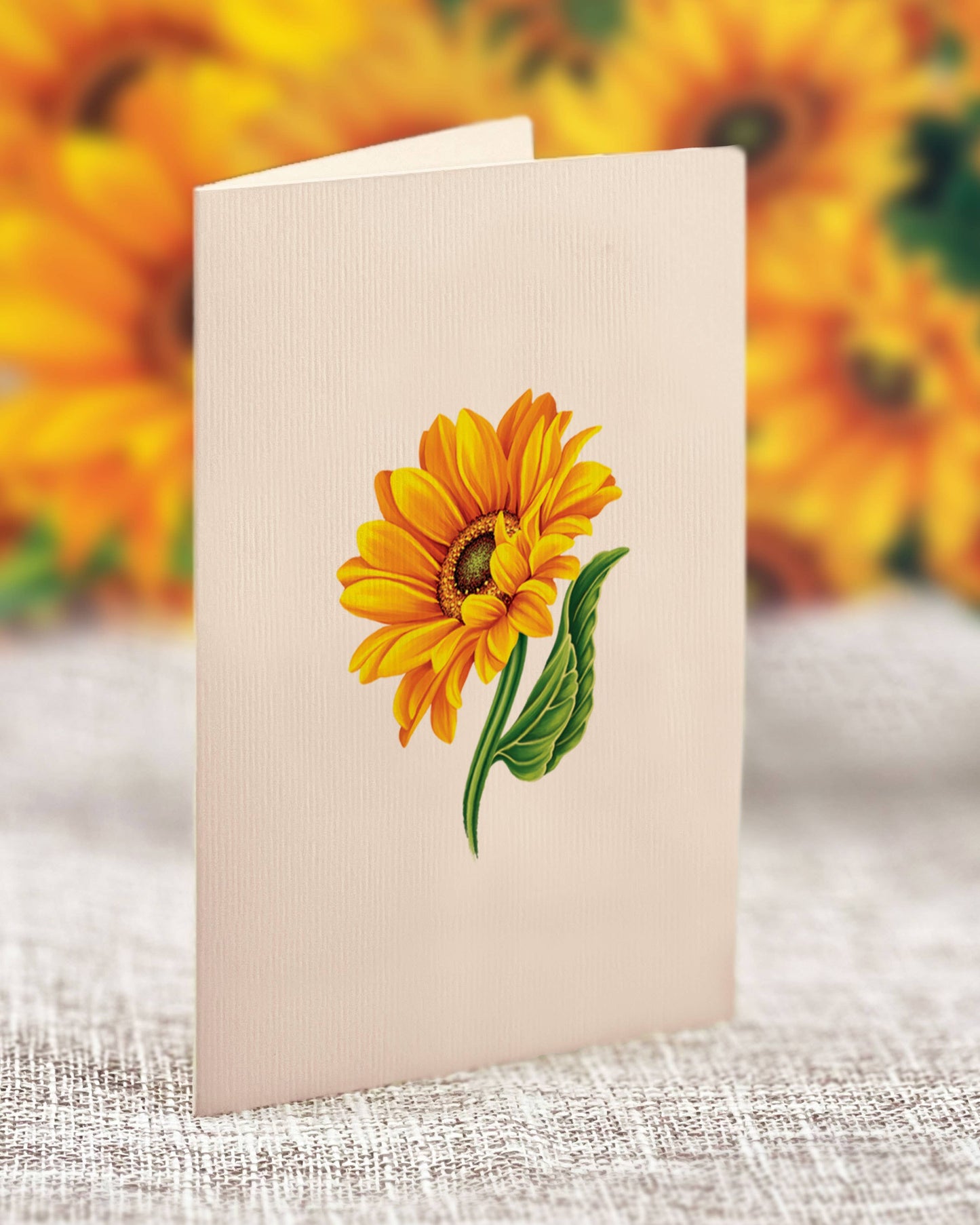 FreshCut Paper LLC - Mini Sunflowers (10 Pop-up Greeting Cards)