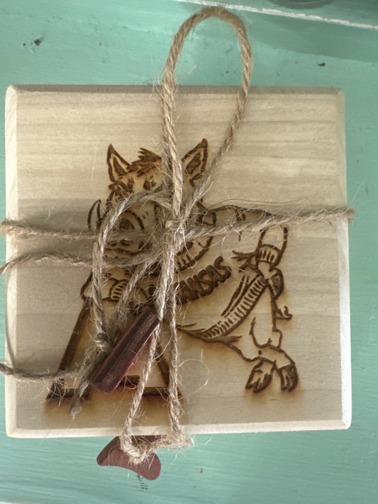 AR Coasters
