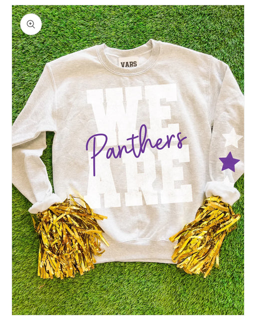 We Are Cursive Panthers