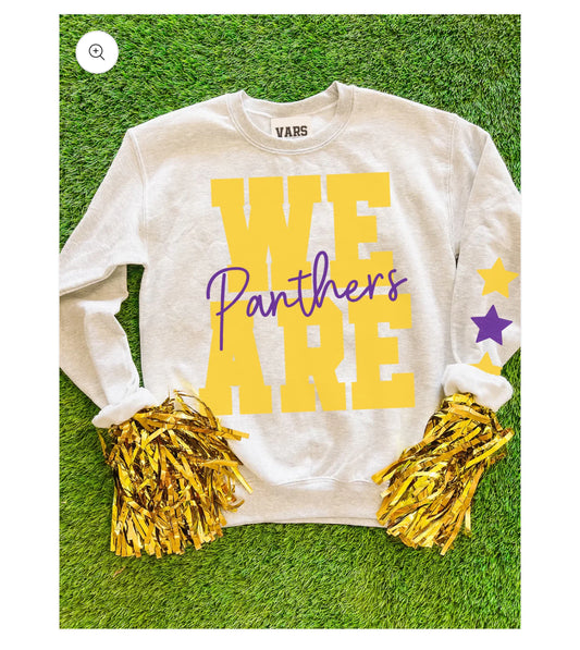 We Are Cursive Panthers