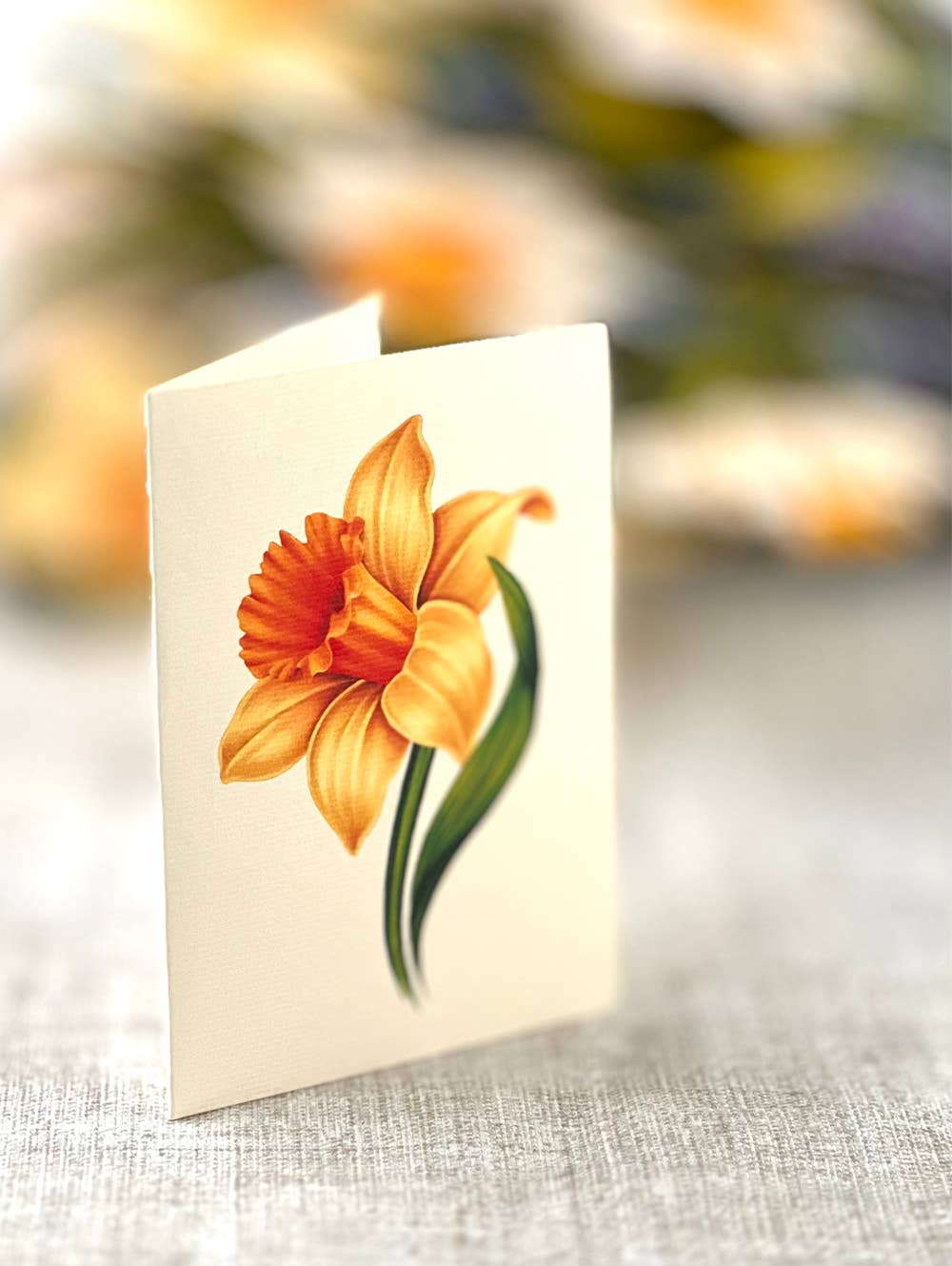 FreshCut Paper LLC - English Daffodils (8 Pop-up Greeting Cards)